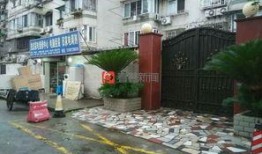 华苑路爆料新闻,事故现场惊心动魄，警方紧急介入调查