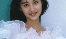 陈德容爆料大哥视频,真相背后引人深思