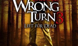 致命弯道3在线观看