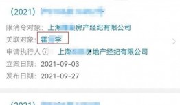 在哪里搜索爆料视频,揭秘爆料视频搜索背后的秘密