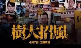 树大招风在线观看,揭秘网络舆论风暴背后的真相