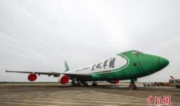 在线观看747,揭秘747在线观影之旅