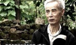 德系之星爆料视频大全集,揭秘汽车行业幕后真相