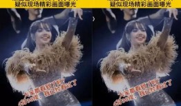 lisa视频爆料,娱乐圈幕后真相大曝光