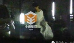 独家爆料的娱乐八卦,明星幕后惊人真相，娱乐圈大事件幕后黑手曝光！