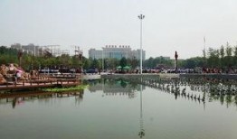 高邑中兴公园爆料视频,揭秘公园美景与趣事