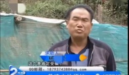 找新闻媒体爆料反而被骗,新闻媒体爆料陷阱，警惕被骗陷阱！