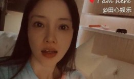 网友爆料李小璐视频,网友爆料引发热议