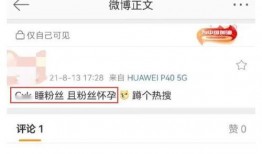 大粉爆料蔡徐坤视频,大粉爆料背后的真相揭秘