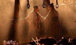 窦娥奇冤手机在线观看,揭秘古代冤案背后的悲壮故事