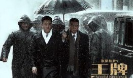 电影《王牌》在线观看,揭秘特工世界，生死较量背后的忠诚与信仰