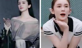 赵樱子爆料视频,娱乐圈背后的惊人真相