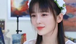 赵樱子爆料视频,娱乐圈背后的惊人真相