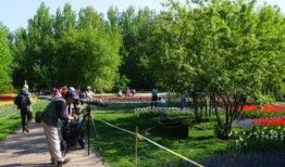 哈尔滨植物园爆料事件视频,揭秘园内惊人真相