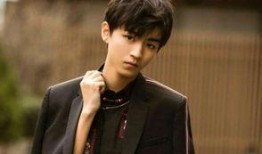 娱乐圈吃瓜王俊凯小说,揭秘明星背后的故事