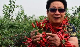 中国辣王李永志爆料视频,辣王之路背后的辛酸与荣耀