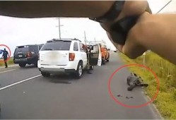 美国警察爆料视频大全最新,揭露执法内幕与争议瞬间