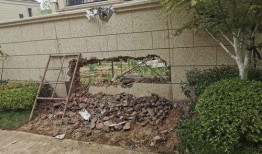 潍坊歌尔绿城最新爆料,绿色生活新篇章即将开启