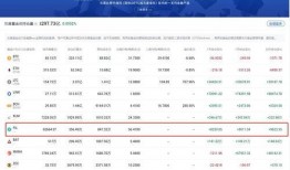 fil币的最新爆料,揭秘其未来发展趋势与市场前景