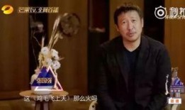 圈内爆料张译黑料视频,揭秘娱乐圈背后的真相