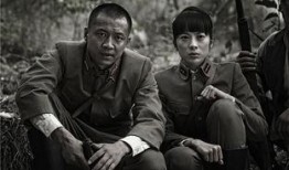 电视剧太行英雄传全集在线观看,重温抗战烽火，共赴英雄传奇之旅