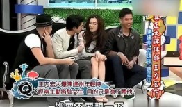 王力宏范玮琪最新爆料,揭秘娱乐圈背后的故事