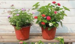 超体地图最新爆料视频,最新爆料视频深度解析