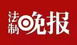 生活今日爆料新闻,揭秘最新热点事件背后的真相