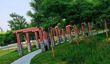 高邑中兴公园爆料视频,揭秘公园美景与趣事