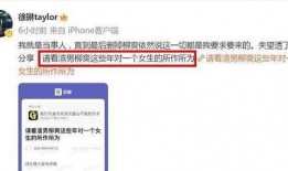 柳爽被女友爆料视频在线观看,真相与争议全解析