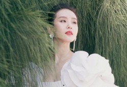 娱乐大爆料赵丽颖刘诗诗,娱乐大爆料幕后故事揭秘