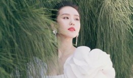 娱乐大爆料赵丽颖刘诗诗,娱乐大爆料幕后故事揭秘