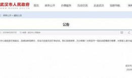 李文亮微信爆料视频最新,疫情真相再引关注