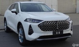 wey摩卡最新爆料,豪华设计与智能科技完美融合