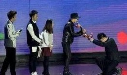 独家爆料的娱乐八卦,明星幕后惊人真相，娱乐圈大事件幕后黑手曝光！