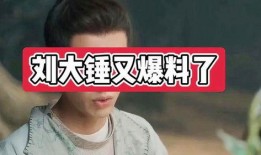 刘大锤爆料娱乐圈视频