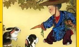 属兔最新爆料,揭秘生肖兔的神秘面纱