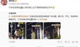 网爆吃瓜爆料视频大全最新,揭秘娱乐圈幕后真相