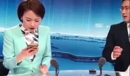 主持人凌晨爆料事件视频,主持人揭露惊人真相