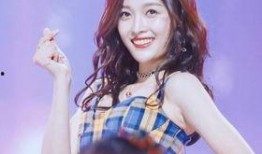 舆论大爆料吴宣仪视频,舆论热议背后的真相揭晓