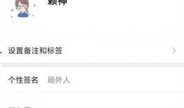 免费吃瓜妹子聊天记录,揭秘网络社交背后的真实故事