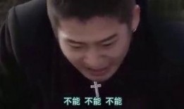 天国的树在线观看,穿越时空的奇幻之旅