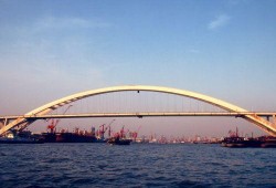 卢浦大桥爆料视频最新,揭秘事故真相与警示