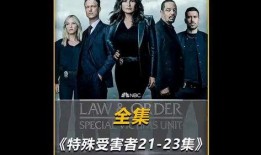 美国观看视频在线观看,美国观众热衷在线视频观看趋势解析