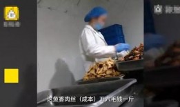 爆料香肠加工视频,揭秘香肠制作全过程