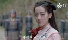 丽姬传在线观看完整版,揭秘古代传奇女子的爱恨情仇