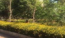 吉林公园爆料视频大全,揭秘公园里的那些事儿