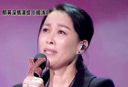 娱乐圈歌手爆料是谁呀视频,揭秘神秘视频背后的真相