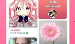 黄金岛爆料最新视频下载,揭秘神秘岛屿探险之旅