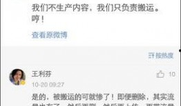 央视爆料王利芬视频播放,揭秘背后真相